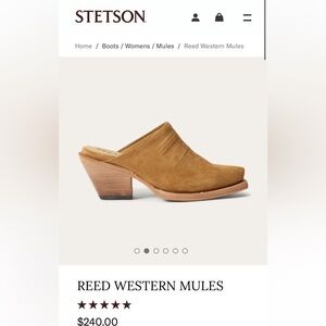 Stetson Reed Western Mules! BRAND NEW, never worn!🤠